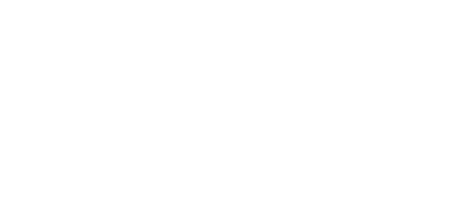 logo conforama